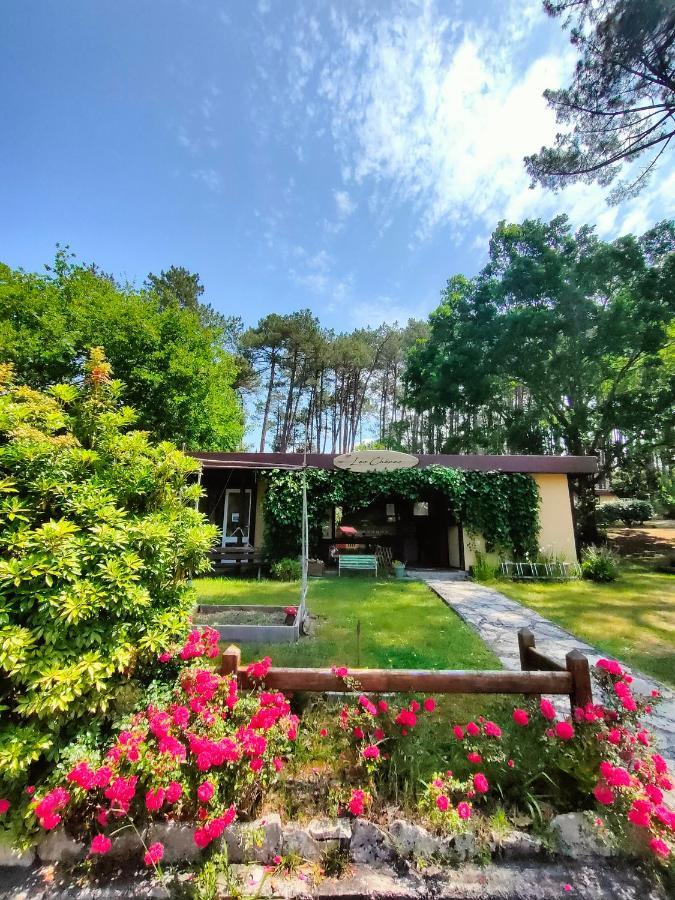 Village Vacances Les Chenes De Léon Eksteriør bilde